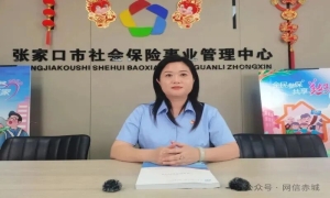 张家口好网民故事｜杨娜：窗口与云端间民生守望